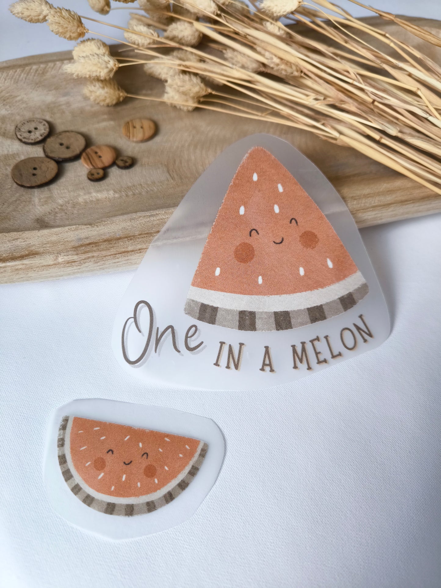 Bügelbild "One in a Melon"