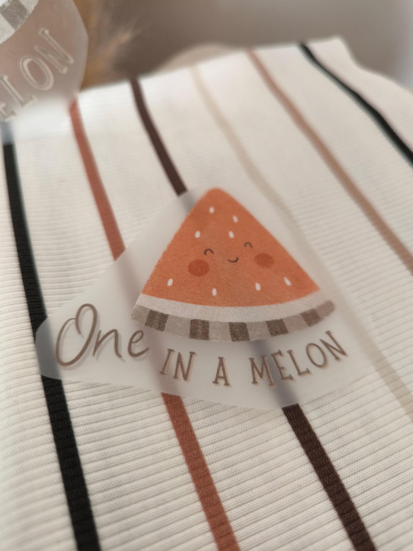 Bügelbild "One in a Melon"