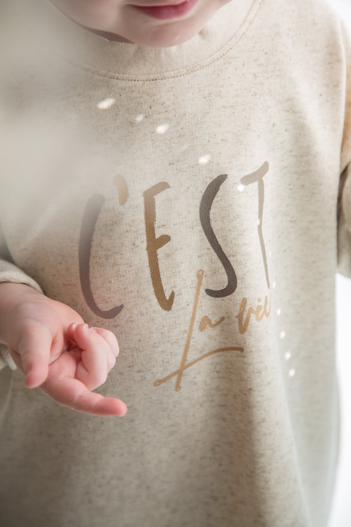 Bügelbild "C'est la vie"