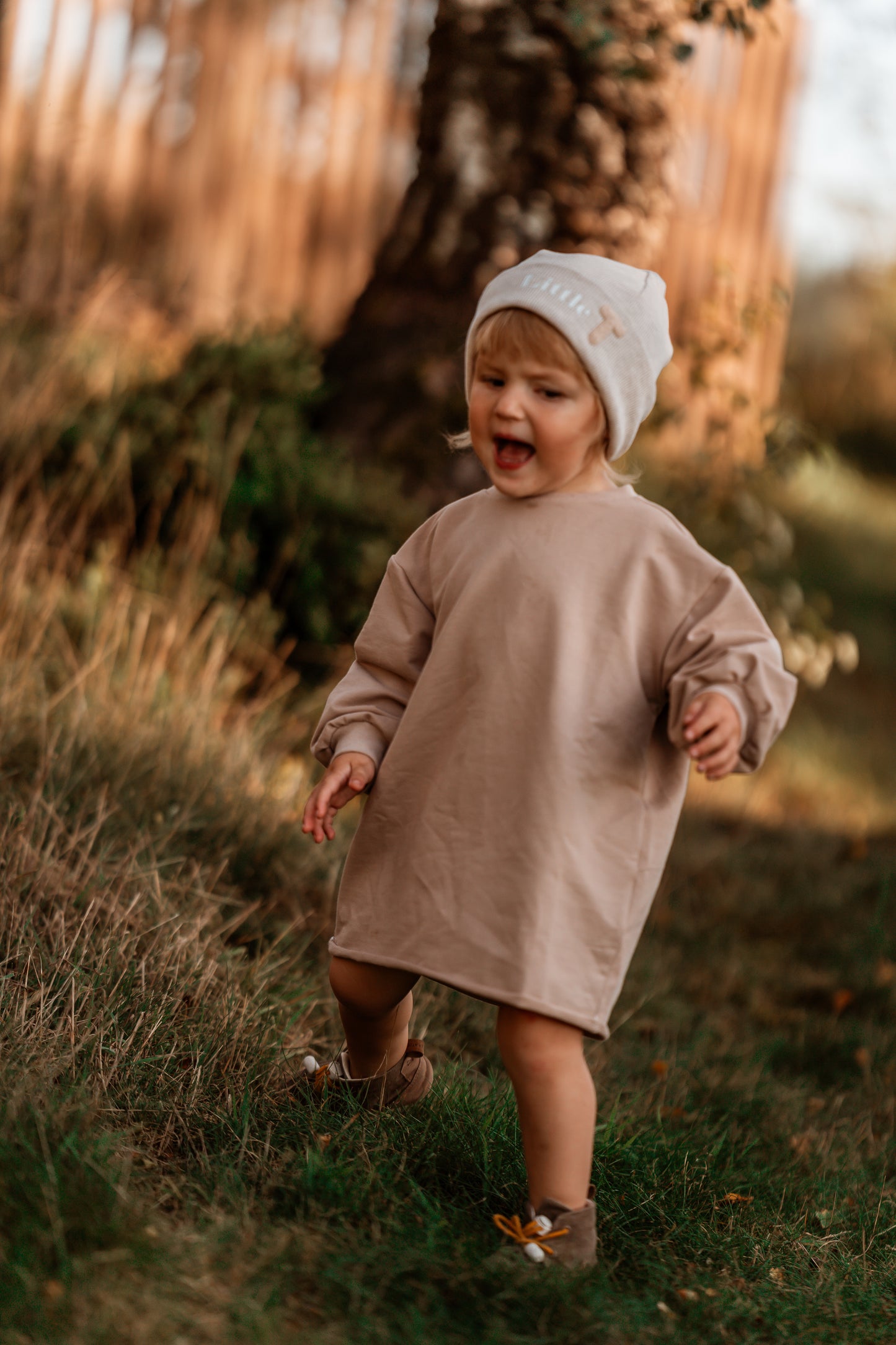 Casual Sweater Dress