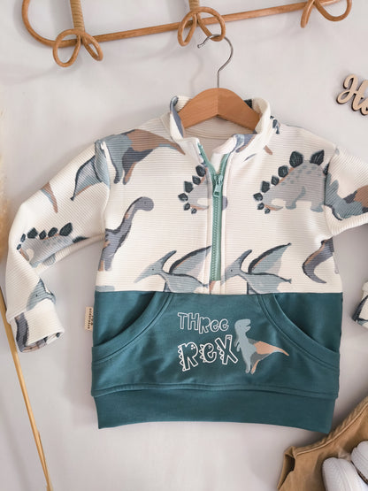 Zip Troyer Sweater/Hoody
